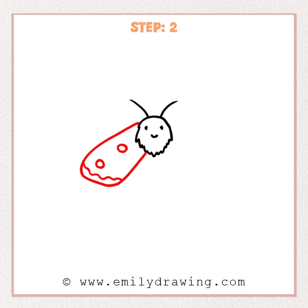 how to draw a luna moth - Step 2